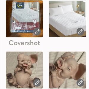 Serta cotton rich heated mattress pad queen 60 x 80+Big Pig Statue - Wilber 🐷💕